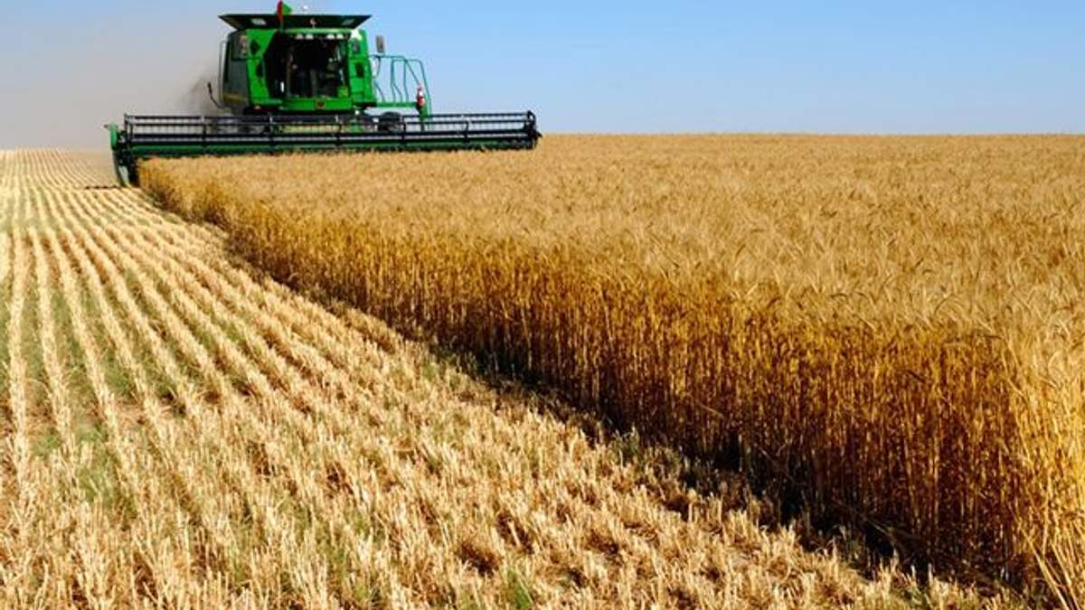 Украина не имеет достаточно транспорта для экспорта своего зерна, – Кутовый