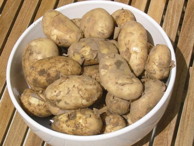 Россия запретила импорт украинского картофеля