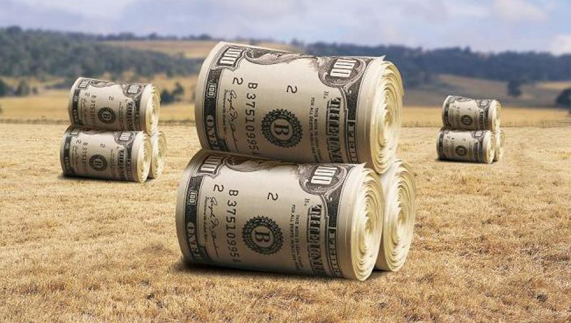 Влиятельный голландский банк посоветовал предпринимателям инвестировать в Украину