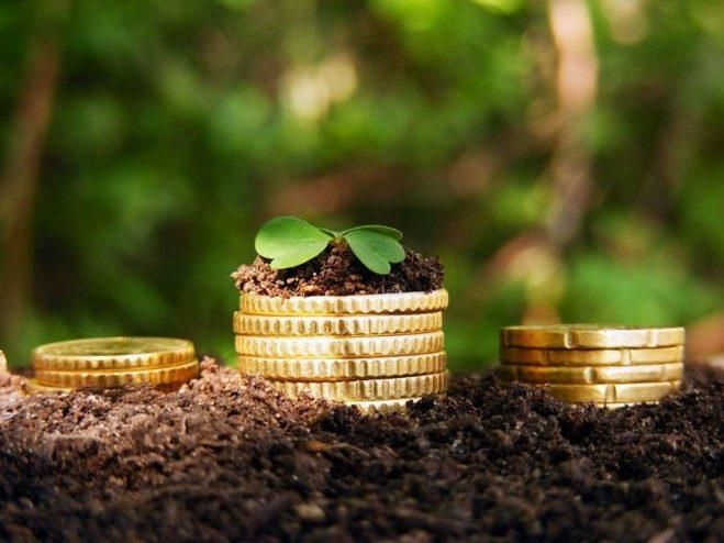 Інвестиції в агропродовольчий сектор України збільшилися – Інститут аграрної економіки