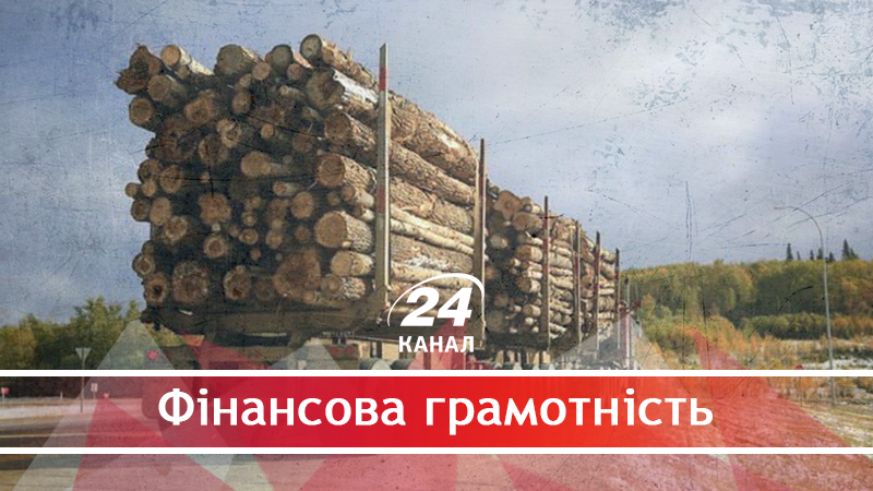 Почему украинский лес продолжают вырубать и експортировать даже после официального запрета - 29 червня 2018 - Телеканал новин 24