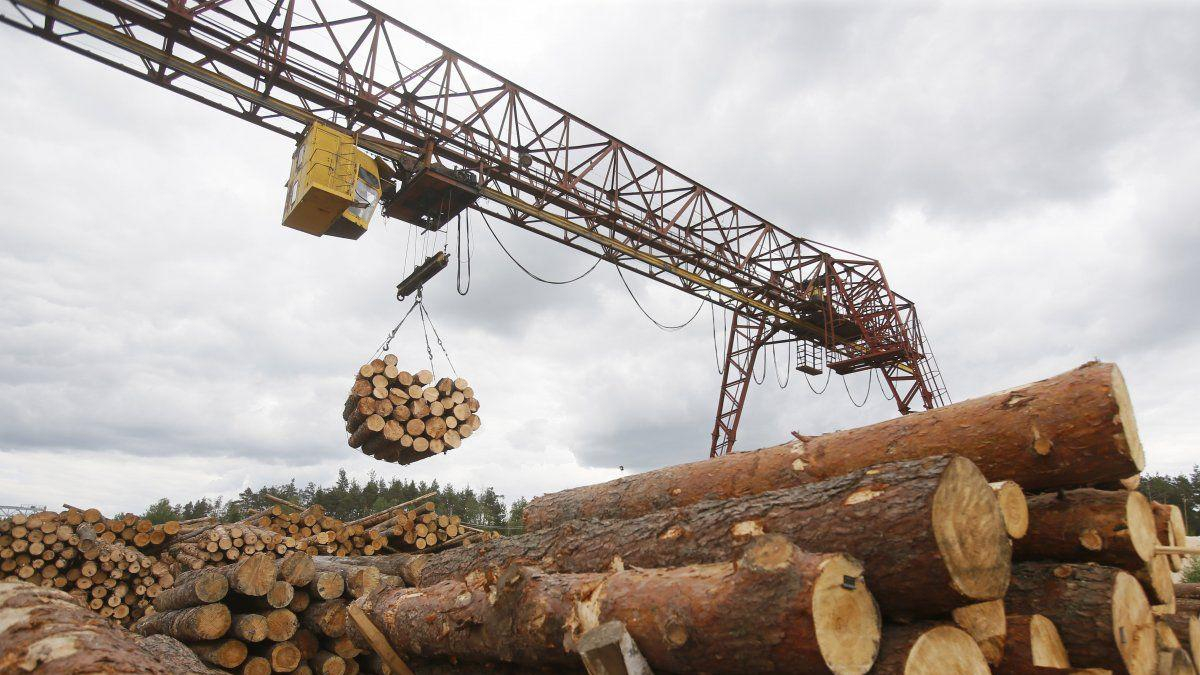 Австрия призвала Украину отменить запрет на экспорт леса