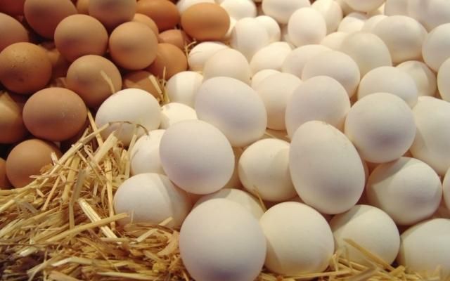 Попит на українські продукти зростає: куди Україна експортує яйця