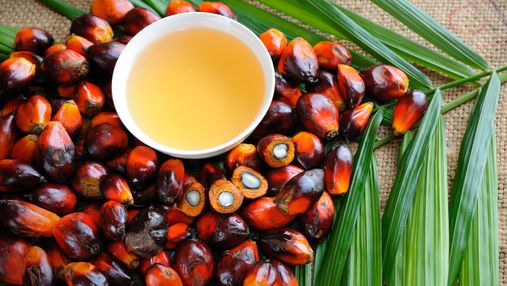 Что повлияло на небывалый рост цены пальмового масла