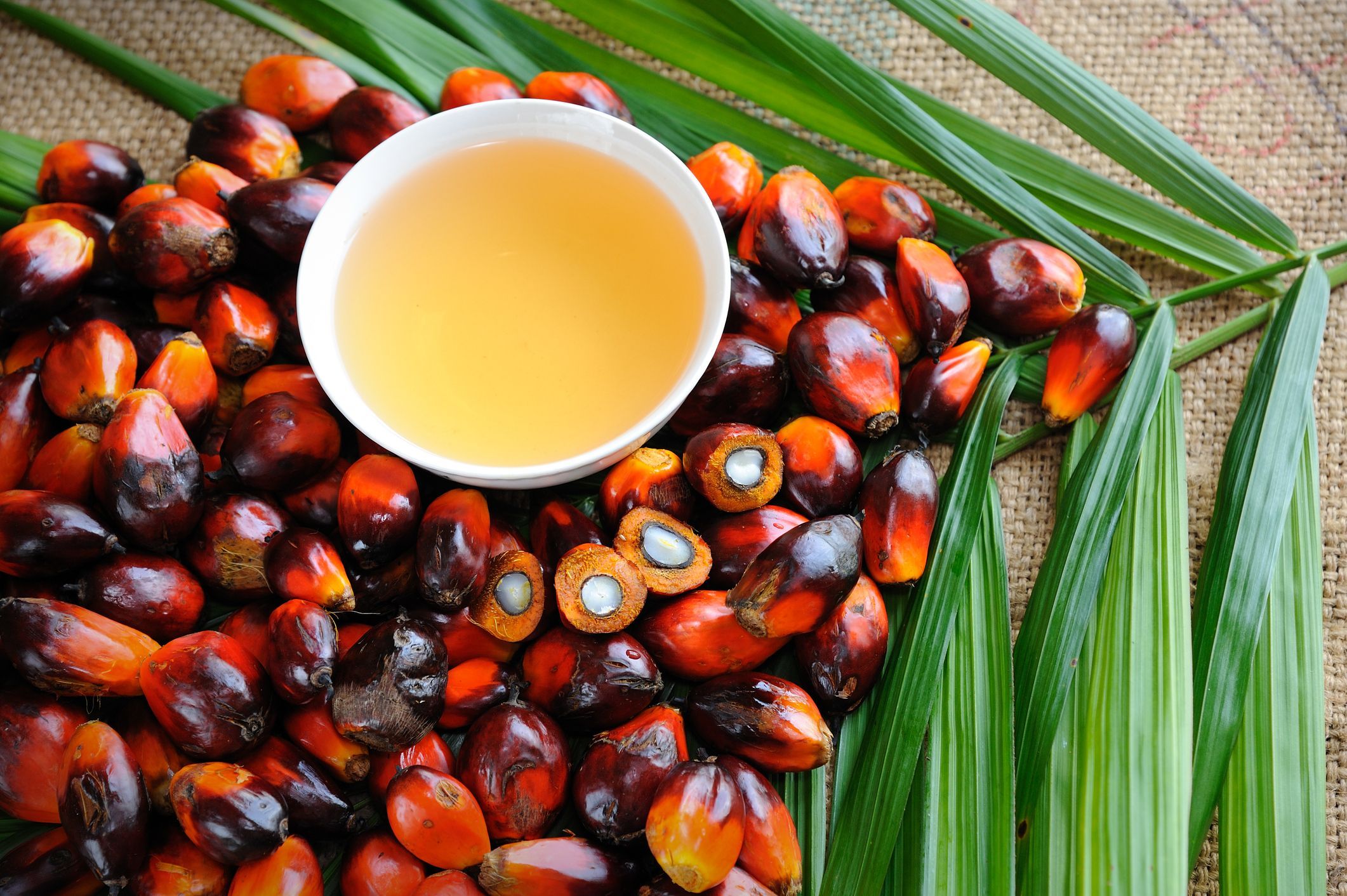 Плоды пальмового масла