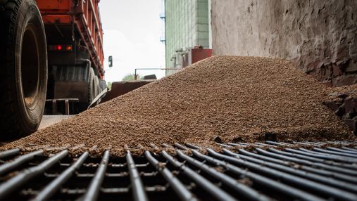 Росія до осені повністю заборонила експорт зерна своїм найближчим союзникам